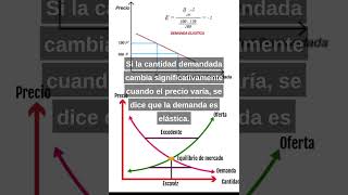 Elasticidad Parte 1 [upl. by Boelter]