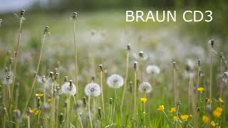 BRAUN CD3 vs PHILIPS CD650 [upl. by Lefton]