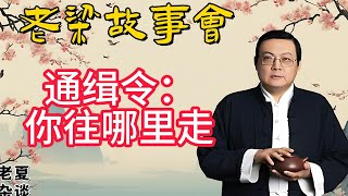 《老梁故事會》【追捕罪惡】揭秘通緝令背後的故事：從傳統到創新，如何利用懸賞和社會力量捕捉逃犯？老梁故事会梁宏达老夏杂谈通緝令背後 懸賞追捕 犯罪分子抓捕 社會力量 公安懸賞 [upl. by Geoffrey]