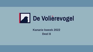 Kanarie kweek 2022 Deel 8 [upl. by Joashus]