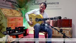 Manuel Reyes Hijo 2022 flamenco guitar for sale played by José Andrés Cortés [upl. by Adnolahs812]