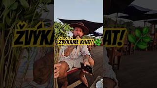 ŽVÝKÁME KHAT V AFRICE  🌿 bylinky cestovani khat Afrika Madagaskar triparinastopu [upl. by Eicnarf]