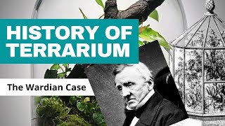 A Brief History of the Terrarium The Wardian Case [upl. by Aciretal423]