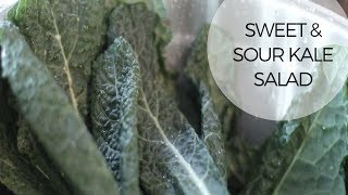 Sweet amp Sour Kale Salad [upl. by Iow]