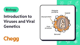 Introduction to Viruses and Viral Genetics  Biology [upl. by Bartholomeus]