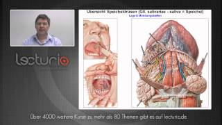 Die Mundhöhle Speicheldrüsen Zunge und Zähne  Dr SteffenBoris Wirth bei Lecturio [upl. by Jobe]