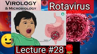 reovirus reovirus replication reovirus family rotavirus rotavirus microbiologyrotavirus vaccine [upl. by Tatianna]