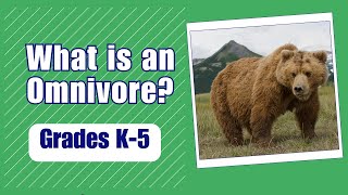 What is an Omnivore More Grades 35 Science [upl. by Aela785]