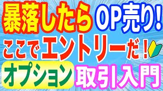 恐怖指数vixの日経平均版のVIで投資コール売りプット売りのオプション取引タイミングはここ！トレード手法公開ルール紹介 [upl. by Enimasaj]