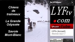 La Grande Odyssée Savoie MontBlanc LYFtvNews httpbitlyytlyftv [upl. by Adnaerb]