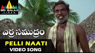 quotRavivarmana Kunchadaquot Popular Kannada Old Video Song  P B Srinivas Hit Song Full HD 1080p [upl. by Elleirb]