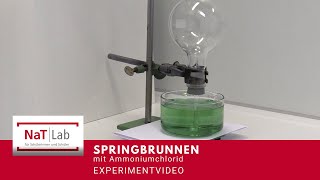 Springbrunnenversuch mit Ammoniumchlorid  Chemie einfach erklärt [upl. by Aholah]