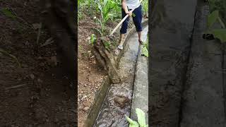 Use A Simple Tool To Clean The Rural Ditch [upl. by Euqor]