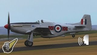 P51 Mustang Fighter Low Fast and Impressive [upl. by Weitman]