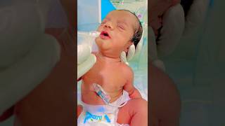 Newborn baby hungry ytshorts youtubeshort trending viralshort cute baby youtubeshorts [upl. by Frannie924]