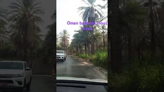 Oman nizwa barka tulmouz  youtubeshortsyoutube viralshortsrubinichanal [upl. by Htebesile687]