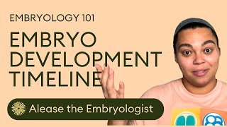 The Embryo Development Timeline in 60 Seconds  Embryologist Explains  Dandi Fertility [upl. by Eenrahc]