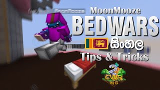 Minecraft Bedwars Tips amp Tricks  CwR Minecraft Server [upl. by Un143]