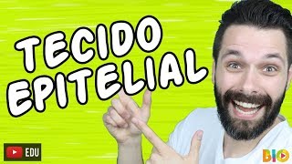 TECIDO EPITELIAL  HISTOLOGIA  Aula  Biologia com Samuel Cunha [upl. by Genesa]