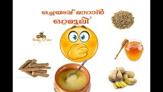 ഒച്ചയടപ്പ് മാറാൻ ochayadappumaaran ottamooli malayalam remedy [upl. by Aihtennek867]