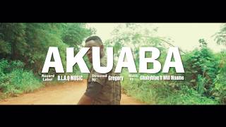 Gabbyblaq Ft Willie Maame  Akuaba Official Video [upl. by Bunker]