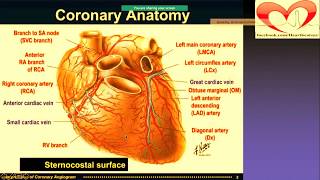 Coronary angiogram angiography Part 1 cardiac catherterization CAG drnarendrakumar PTCA [upl. by Pearce]