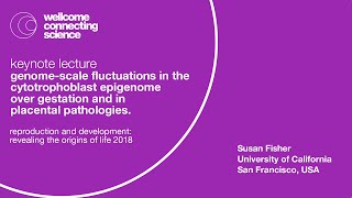 Genomescale fluctuations in the cytotrophoblast epigenome   Susan Fisher [upl. by Esetal226]