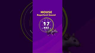 Mouse amp Rat Repellent Noise Highfrequency sounds [upl. by Laforge645]