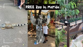 FREE Zoo in Merida  Things To Do in Merida  Parque Zoologico del Centenario  Black Family Travel [upl. by Reyem]