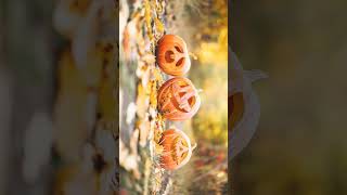 🌹⁷☆•⁵ Gourd Family Cucurbits  Cucurbitaceae [upl. by Iralav]