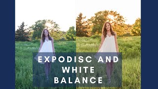 ExpoDisc and White Balance [upl. by Olympium]