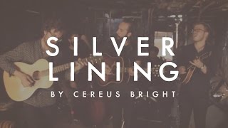 Cereus Bright  Silver Lining Live [upl. by Llenna]