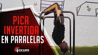 CALISTENIA  Como hacer la PICA INVERTIDA EN PARALELAS  Tutorial en 1 minuto [upl. by Aerona]