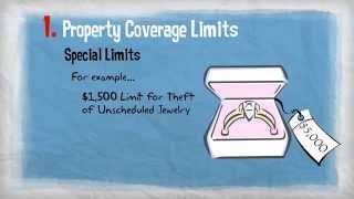 Insurance 101  Homeowners Limits [upl. by Izaak330]