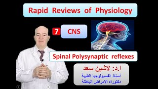 Physiology ReviewsSpinal Polysynaptic reflexes [upl. by Desdee802]