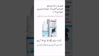 lidosporin ear drops  lidosporin ear drops uses in urdu lidosporineardrops​ earpainrelief​ [upl. by Mansfield336]