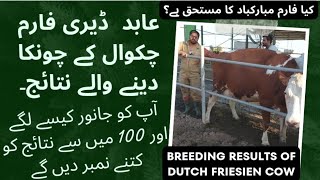 Congratulations Abid dairy huge success II Results of pregnancy at Abid dairies [upl. by Dane250]