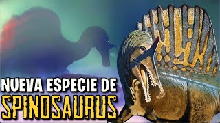 NUEVA ESPECIE de SPINOSAURUS  ESTO ES LO QUE SE SABE [upl. by Oneill705]