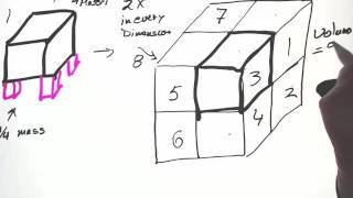 Structure and Function Allometry and Scaling [upl. by Erdna28]