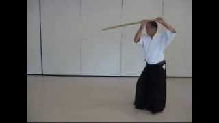 Bokken Kata 2 AAA  Toyoda With Count Var 1 [upl. by Ajiat]