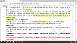 unité 1  chapitre 1 la glycolyse et le devenir de lacide pyruvique dans la mitochondrie [upl. by Idnahk]