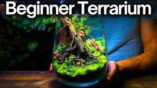 How To Make a Terrarium  Beginner Friendly Tutorial [upl. by Potter]