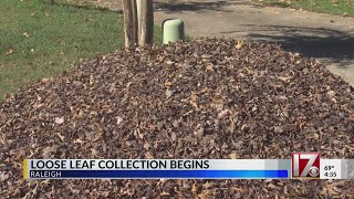 Loose leaf collection begins [upl. by Atirat129]