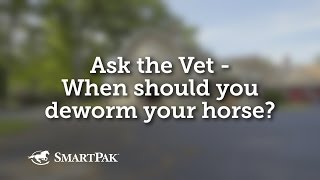 Ask the Vet  When should you deworm your horse [upl. by Cappella177]