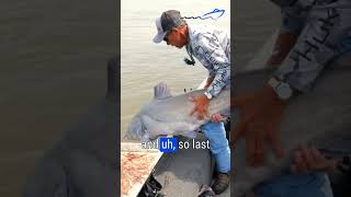 The Thrill of the Catch  Catfish on the Missouri River [upl. by Siver458]