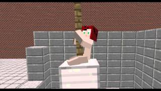 Miley Cyrus  Wrecking Ball  ParodyParodie  Saphira [upl. by Ellienad690]