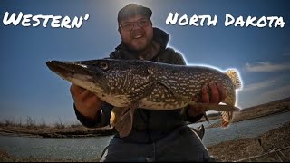 Bobber Fishing HUNGRY Missouri River Pike [upl. by Marge]