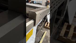 Fully Working Process Of Metal Sheet Coil Perforated Rewinding Production Line In Factory Recoiler [upl. by Suvart856]