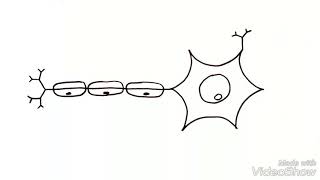 SINAPSE QUÍMICA [upl. by Jackson]