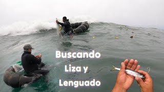 Buscando la liza y lenguado [upl. by Shatzer]